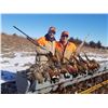Image 3 : 2 Day Pheasant Hunt for 4 Hunters in Araphoe, Nebraska