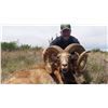 Image 1 : Trophy Phantom Ram Hunt