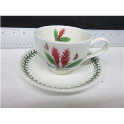 PortMeirion Collectible / Tea Cup & Suacer