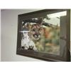 Image 1 : Framed Mountain Lion Print 33 x 29