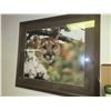 Image 2 : Framed Mountain Lion Print 33 x 29