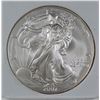 Image 2 : 2007-W AMERICAN SILVER EAGLE NGP