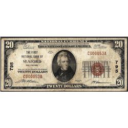 1929 $20 National Currency Note First NB of Seaford, DE Ch# 795