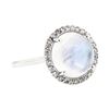 Image 1 : 14KT White Gold 4.82 ctw Moonstone and Diamond Ring