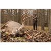 Image 3 : The Whitetail of your Dreams!! Xtreme World Class Whitetails Ohio