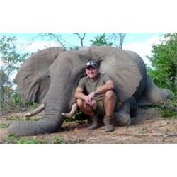 Bull Elephant Hunt,  Zimbabwe, Hippo/Croc/Buffalo upgrades Possible