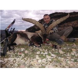 Beceite Ibex for Two Hunters - Includes Trophy Fees