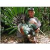 Image 1 : 7 DAY CAMPECHE JUNGLE 2 HUNTERS, 3 ANIMALS EACH  BROCKET DEER, OCELLATED TURKEY  & MORE