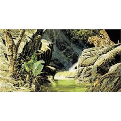 Craig Bone (Zimbabwean, b.1955)