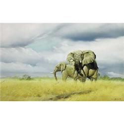 Craig Bone (Zimbabwean, b.1955)