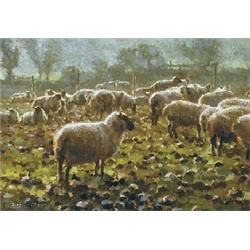 Mark O’Neill (b.1963)