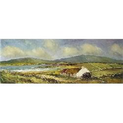 Norman J. McCaig (1929-2001)