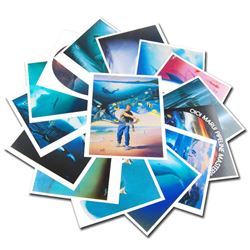 5 Assorted Wyland Mini Prints by Wyland