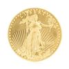 Image 1 : 2013 US$50 Standing Liberty Gold Coin