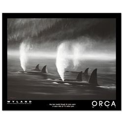 Orca Mist by Wyland