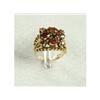 Image 1 : Garnet Ring