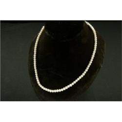 Gold 18 1/4" Pearl Necklace