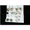 Image 1 : Sterling Earrings