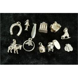 Sterling Charms