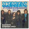 Image 1 : Scorpions
