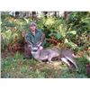 Image 1 : Oregon Hunt for Columbian Blacktail, Columbian Whitetail or Roosevelt Elk