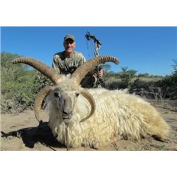 Argentina Big Game Hunt 7 days