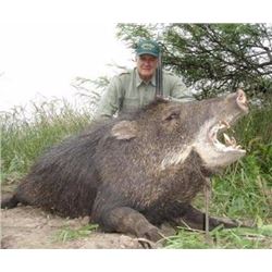 Argentina Big Game Hunt 7 days