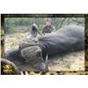 Image 1 : South Africa Dangerous Game and Plains Game Hunt