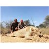 Image 1 : South Africa Female Lion Hunt