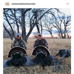 Colorado Turkey Hunt