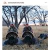 Image 1 : Colorado Turkey Hunt