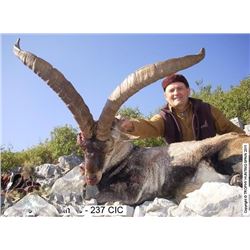 Mountain Hunt in Spain