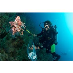 Belize Island Adventure Fishing and Diving Trip