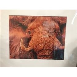 Art Work (Standing Elephant)