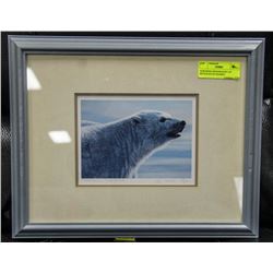 NORTHERN MONARCH BY LIZ MITTEN-RYAN FRAMED