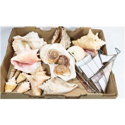 FLAT OF SEASHELLS AND STAIN GLASS SHIP.