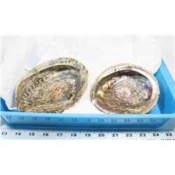 2 LARGE OYSTER SHELLS  W/ MOTHER OF PEARL
