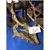 Image 2 : Cast deer piggy bank, bronze Elk horms, cast unicorn