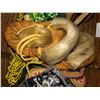 Image 2 : Tobacco pouch various dress beads, basket of various handmade doll clothing & shoes, etc