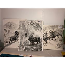 3 Black & white wildlife art 16"x20"