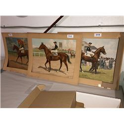 Triple Crown Horse Pictures, "Shimonese", "Slaughter", "Seismic
