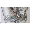 Image 2 : BLUE JAY SHADOW BOX ART
