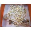 Image 2 : VINTAGE PEARL NECKLACE EARRING AND BRACELET