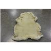 Image 2 : SHEEP SKIN RUG