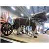 Image 3 : WOODEN HORSES