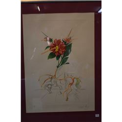 Framed off-set coloured lithograph "Dahlia Unicornis" pencil signed by artist Salvador Dali, 63/200,