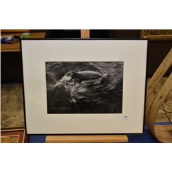 Framed black and white photograph of a dolphin