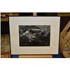 Image 1 : Framed black and white photograph of a dolphin