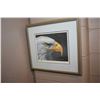 Image 1 : Framed limited edition print of an eagle, pencil signed by artist R. Fehr, 488/750