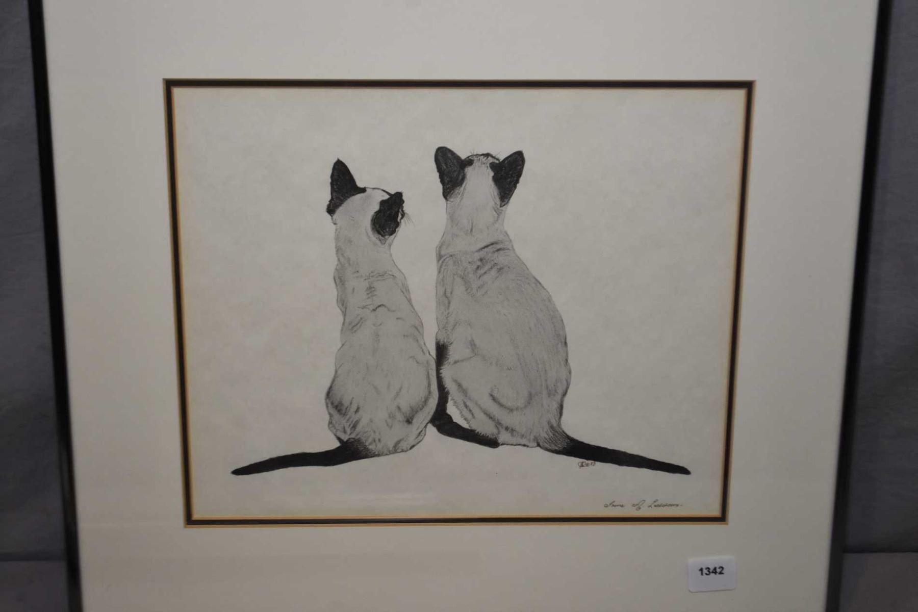 Framed Original Pencil Drawing Of Two Siamese Puddy Tats Signed By